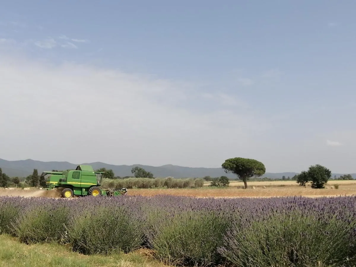 农家乐 Agriturismo Susanna E Atria 毕博纳
