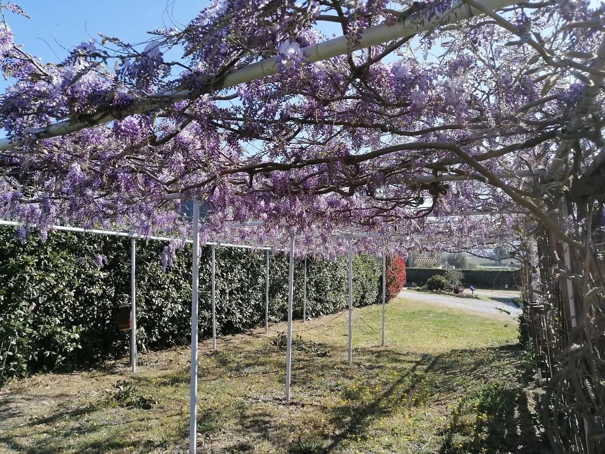 Agriturismo Susanna E Atria Bibbona Bauernhof